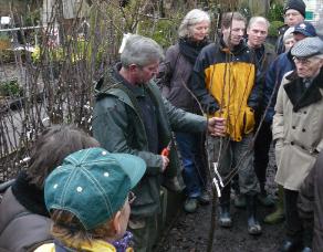 Vormsnoei jonge boom blote wortel